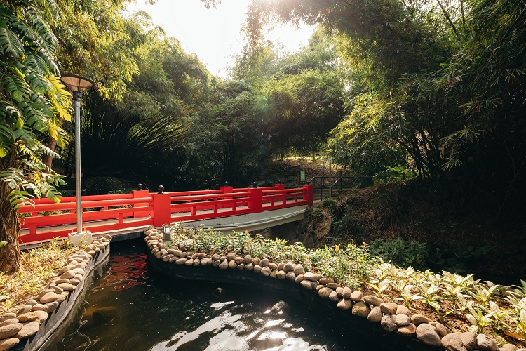 Red Japanese bridge and koi pond located at Consuelo Park